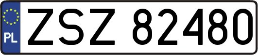 ZSZ82480