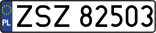 ZSZ82503