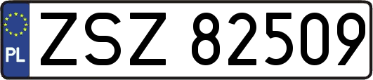 ZSZ82509