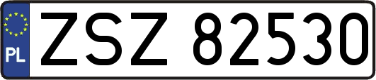 ZSZ82530