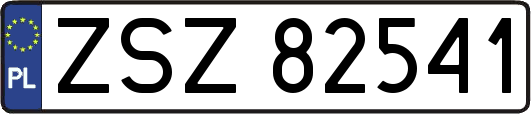 ZSZ82541