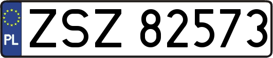 ZSZ82573