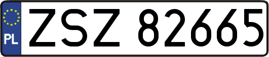 ZSZ82665