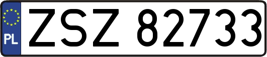 ZSZ82733