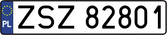 ZSZ82801