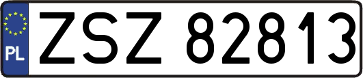 ZSZ82813
