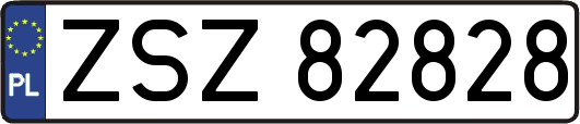 ZSZ82828