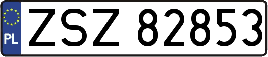 ZSZ82853