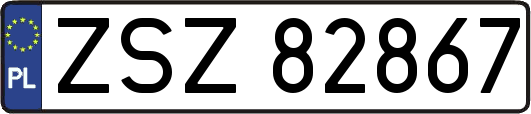 ZSZ82867