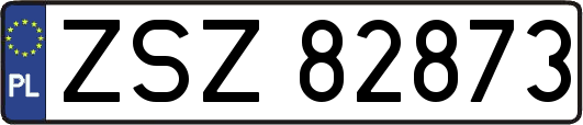 ZSZ82873