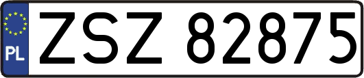 ZSZ82875