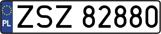 ZSZ82880