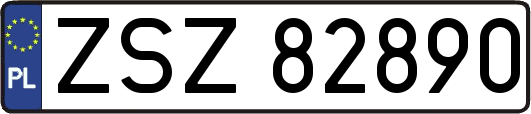 ZSZ82890