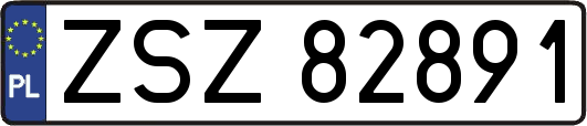 ZSZ82891