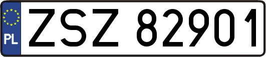 ZSZ82901