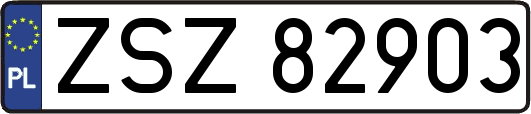 ZSZ82903