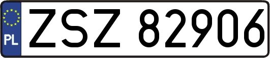 ZSZ82906