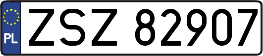 ZSZ82907