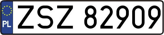 ZSZ82909