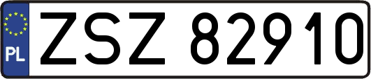 ZSZ82910