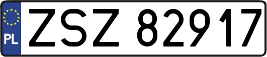 ZSZ82917