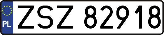 ZSZ82918