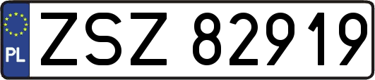 ZSZ82919