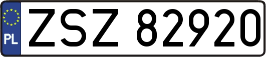 ZSZ82920