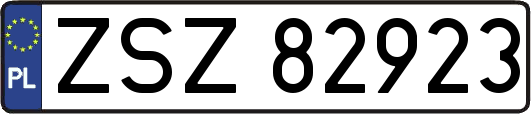 ZSZ82923