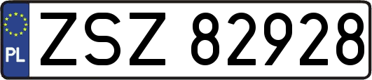 ZSZ82928