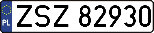 ZSZ82930