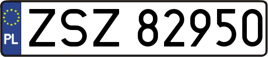 ZSZ82950