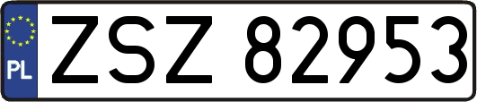 ZSZ82953