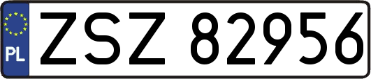 ZSZ82956