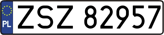 ZSZ82957