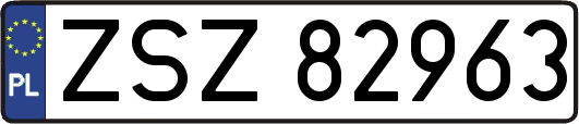 ZSZ82963