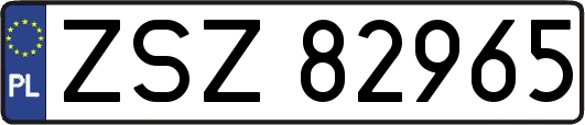ZSZ82965