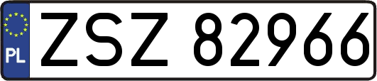 ZSZ82966