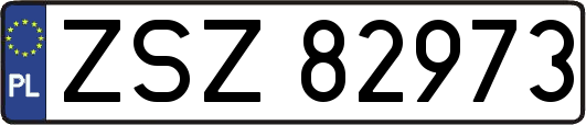 ZSZ82973