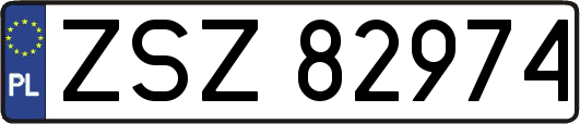ZSZ82974