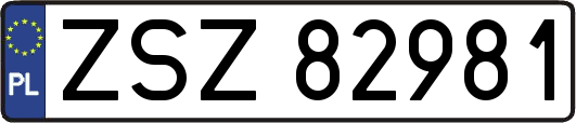ZSZ82981