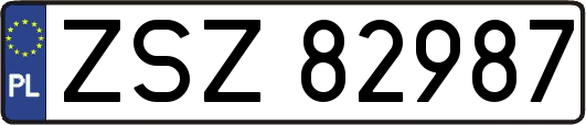 ZSZ82987