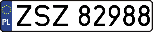 ZSZ82988