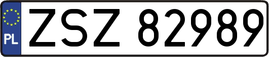 ZSZ82989