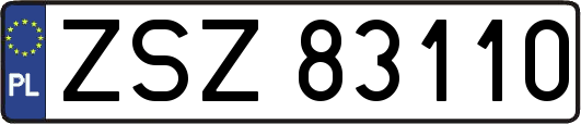 ZSZ83110