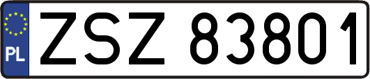 ZSZ83801