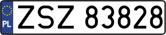 ZSZ83828