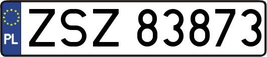 ZSZ83873