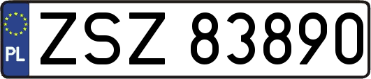 ZSZ83890