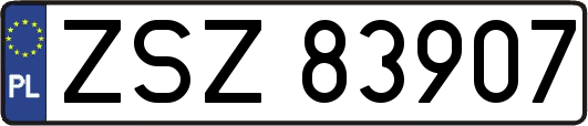 ZSZ83907